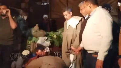 قنا تشن حملة مكبرة لرفع الإشغالات ومراقبة سلامة الغذاء والتراخيص