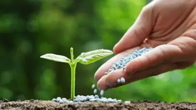 ارتفاع أسعار الأسمدة في الأسواق باستثناء السلفات المخصوص