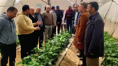 لجنة من وزارة الزراعة تتابع أعمال المكافحة الحيوية والحقول الإرشادية في الإسماعيلية