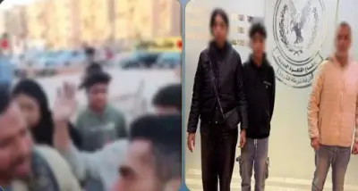 مشاجرة عنيفة بين طالب وأجنبي بسبب كلب ضال تنتهي بإصابات في القاهرة