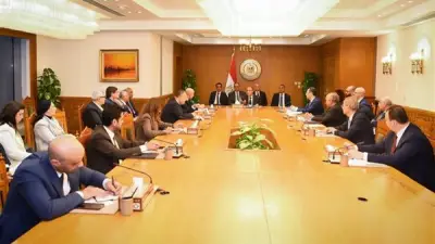 وزير الخارجية يترأس اجتماعًا تنسيقيًا لبحث قضايا المصريين بالخارج وتطوير الخدمات