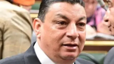 نائب: اجتماع السيسي مع مدبولي ووزير البترول يعزز الإنتاج ويضمن استقرار أسعار الوقود