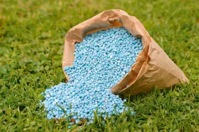 وزارة الزراعة تطمئن الفلاحين بشأن استمرار دعم الأسمدة المدعومة للموسم الشتوي