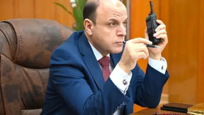 محافظ الغربية يشدد على تكثيف حملات تحصين الكلاب الضالة ضد السعار