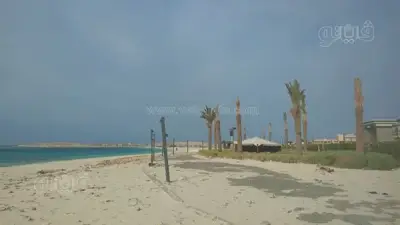 عاصفة ترابية شديدة تضرب مرسى مطروح وتؤثر على الرؤية والمواطنين