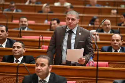 النائب أحمد جبيلي: المجتمع الدولي يدرك أهمية الدور المصري في إدارة الأزمات الإقليمية