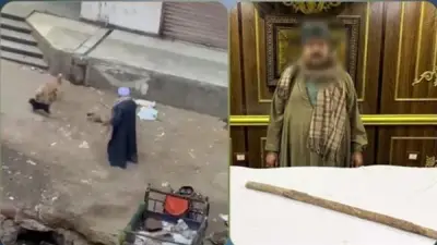 ضبط حارس عقار في الطالبية بتهمة التعدي على الكلاب الضالة بعصا خشبية