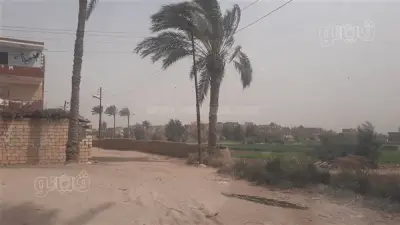 عاصفة رملية مفاجئة تضرب الإسماعيلية وتثير حالة من عدم الاستقرار الجوي