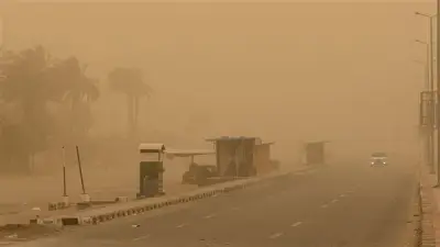وزارة التنمية المحلية تحذر المواطنين من الاقتراب من الأشجار بسبب العاصفة الترابية