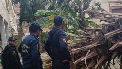 مرموش يصنع هدفًا في تعادل مثير بين مانشستر سيتي ووست هام في الدوري الإنجليزي