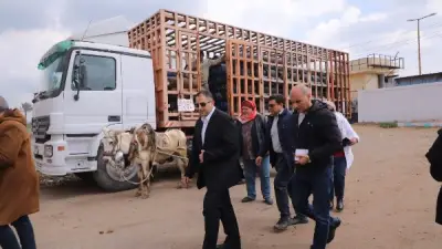 محافظ دمياط يمنع التلاعب بمستودعات الغاز والمواد البترولية في جولة تفقدية