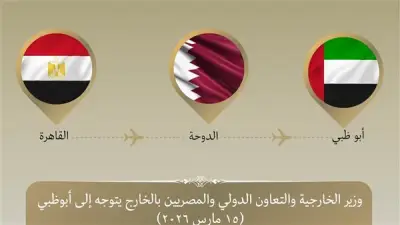 وزير الخارجية المصري يزور الإمارات في جولة خليجية لتعزيز التضامن وخفض التصعيد