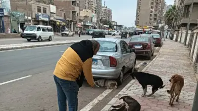 استمرار حملات تحصين الكلاب ضد السعار في الدقهلية لضمان الصحة العامة