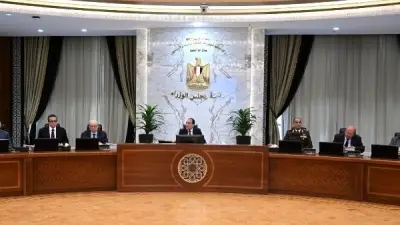 رئيس الوزراء يعلن إرجاء مشروعات كثيفة استهلاك السولار لمواجهة الأزمة الإقليمية