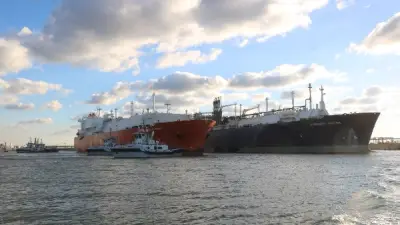 ميناء دمياط يستقبل ناقلة غاز مسال يونانية عملاقة ضمن حركة تجارية نشطة