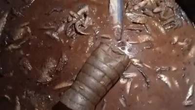 ضبط طن من الأسماك المملحة الفاسدة في حملة رقابية بالقليوبية استعدادًا لعيد الفطر