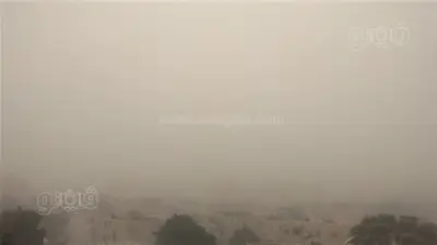 عاصفة ترابية شديدة تضرب الوادي الجديد ورفع حالة الطوارئ لمواجهة المخاطر