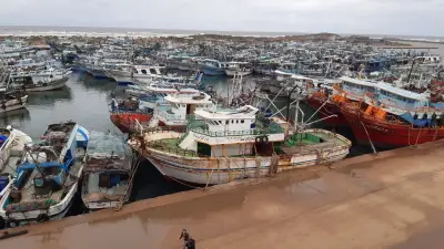 محافظ كفر الشيخ يؤكد استمرار توقف الملاحة والصيد بميناء البرلس بسبب الطقس السيئ