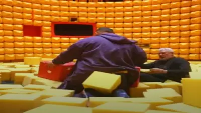 جمال عبد الحميد في رامز ليفل الوحش: الطيبة عيبي واكتشفتها متأخراً