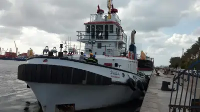 ميناء دمياط يعمل بكامل طاقته خلال عيد الفطر دون أي انقطاع في الخدمات