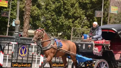 الحنطور يسيطر على احتفالات العيد في وسط القاهرة بينما تشهد مراكب النيل تراجعًا ملحوظًا