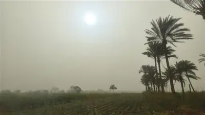 عاصفة ترابية وتقلبات جوية تضرب محافظة الدقهلية في أول أيام عيد الفطر