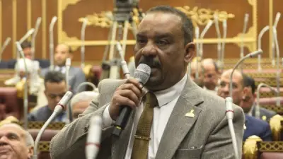 برلماني: زيارة السيسي للبحرين والسعودية تؤكد دقة التحرك المصري وتعزز الأمن العربي المشترك