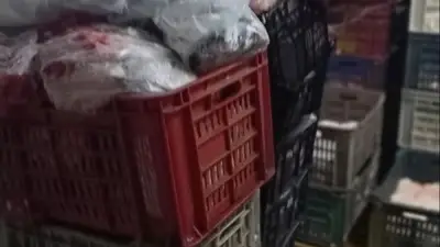 ضبط طن من اللحوم والدواجن الفاسدة بالقليوبية خلال حملات العيد