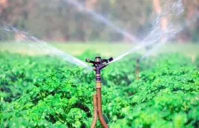 اليوم العالمي للمياه: مصر تعزز جهود ترشيد الاستهلاك عبر المشروعات القومية