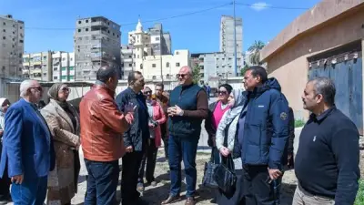 محافظ الإسكندرية يعلن خطة متكاملة للقضاء على ظاهرة الكلاب الضالة في المحافظة