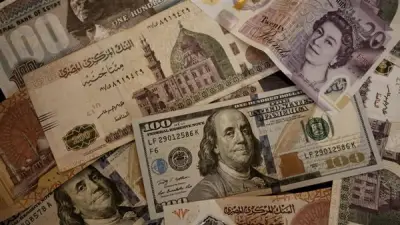 استقرار أسعار العملات الأجنبية والعربية في البنك التجاري الدولي اليوم الإثنين