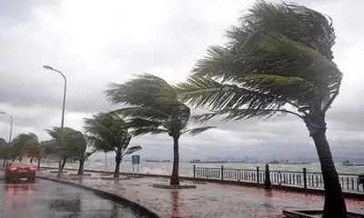 عاجل: الأرصاد تحذر من حالة جوية قوية تضرب البلاد في هذا الموعد