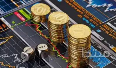 استقرار نسبي في أسعار العملات الأجنبية أمام الجنيه المصري في آخر تحديث