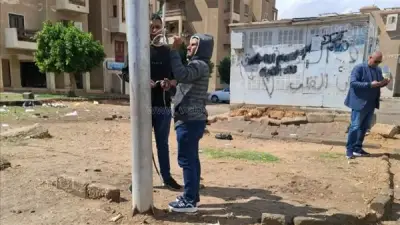 نفوق كلب ضال بعد صعقه بملامسة عمود كهرباء في العاشر من رمضان