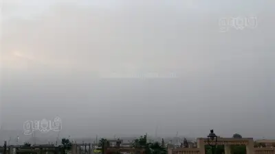 أسوان توقف الملاحة النهرية بسبب العاصفة الترابية وتتخذ إجراءات احترازية لمواجهة الطقس السيئ