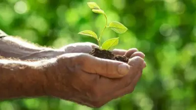 دار الإفتاء المصرية توضح تفاصيل كفارة النذر لمن يعجز عن الوفاء به