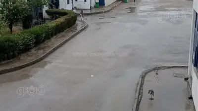 أمطار غزيرة تضرب الإسماعيلية لليوم الثاني على التوالي وسط تحذيرات من هيئة الأرصاد