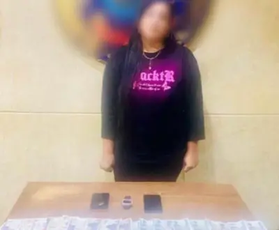 ضبط راقصة بتهمة نشر مقاطع فيديو خادشة للحياء عبر الإنترنت