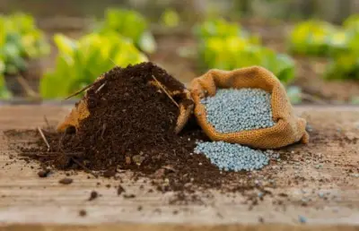 أزمة كبريت الحرب على إيران تعصف بالأمن الغذائي العالمي وتثير مخاوف اقتصادية