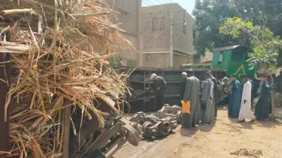 قطار قصب يخرج عن مساره ويخترق شوارع السباعية في أسوان دون إصابات