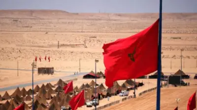 سفير التشيك يزور الصحراء المغربية لتعزيز الشراكات الاقتصادية وجذب المستثمرين