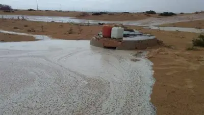 تقلبات جوية تضرب شمال البلاد: أمطار متفاوتة ورياح مثيرة للأتربة