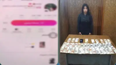 القبض على صانعة محتوى نشرت فيديوهات خادشة لزيادة المشاهدات والأرباح