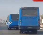 ضبط قائدي حافلتين لنقل جماعي يسيران برعونة في القليوبية