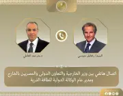 مدير وكالة الطاقة الذرية يشيد بجهود مصر للتهدئة وخفض التصعيد في المنطقة