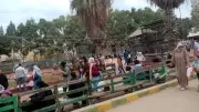 إقبال جماهيري كبير على حديقة حيوان الزقازيق خلال عيد الفطر المبارك