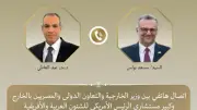 وزير الخارجية المصري يتلقى اتصالاً من مستشار ترامب لمناقشة الأزمات الإقليمية والملف الإيراني