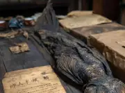 مومياء حورية بحر تثير الجدل في اليابان: حقيقة علمية أم أسطورة شعبية؟