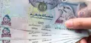 سعر الدرهم الإماراتي أمام الجنيه المصري اليوم الأحد يشهد استقراراً نسبياً
