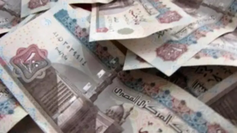 زيادة مخصصات الدعم 103 مليار جنيه في الموازنة الجديدة.. خبير اقتصادي يكشف التفاصيل